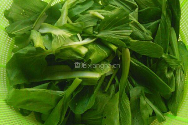 清炒油菜的做法图解1