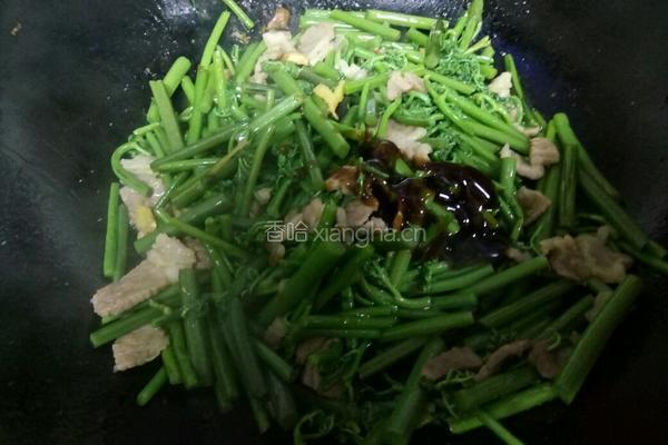 炒蕨菜的做法图解8