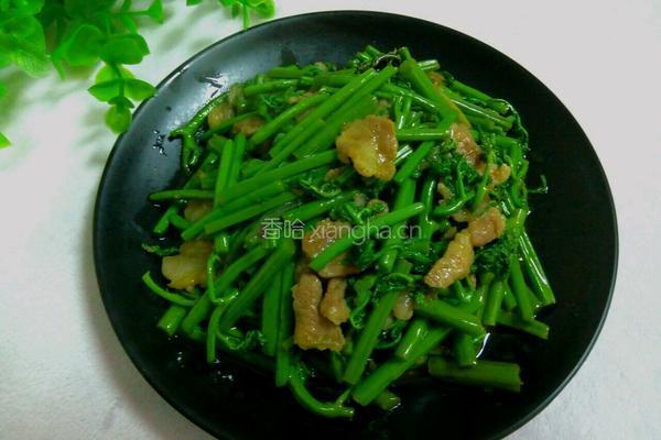 炒蕨菜的做法图解11