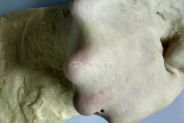 椰蓉毛毛虫面包的做法图解4