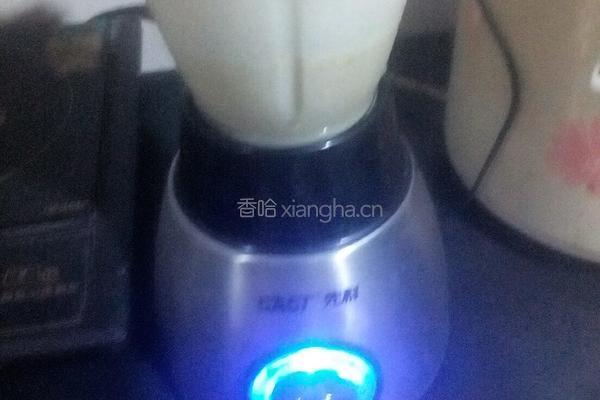 豆浆的做法图解3