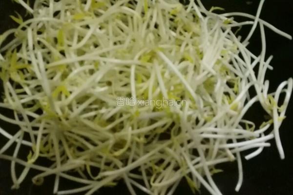 雪菜炒绿豆芽的做法图解6