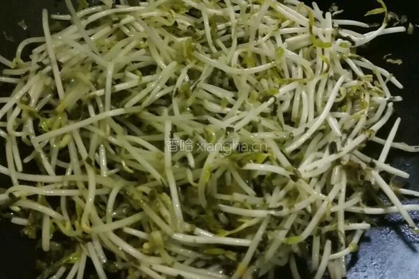 雪菜炒绿豆芽的做法图解7
