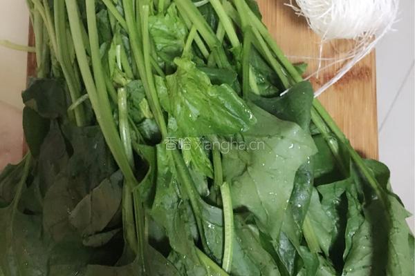 凉拌菠菜粉丝的做法图解1