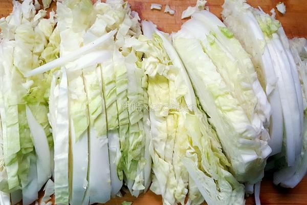 炒白菜丝的做法图解1