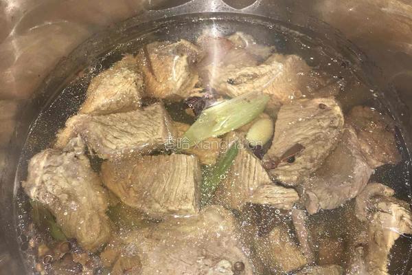 「原味牛肉干」+「香辣牛肉干」的做法图解5