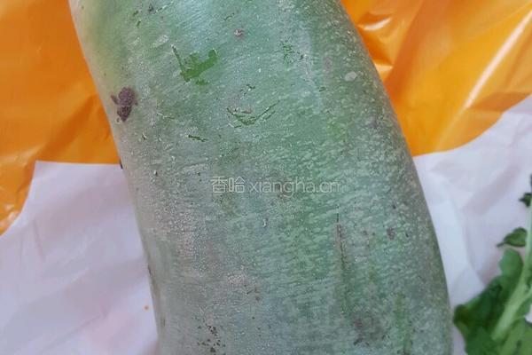 青萝卜肉馅饼的做法图解2