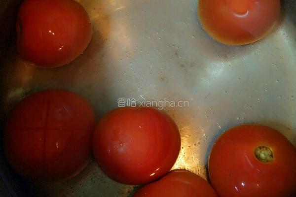 蒜香番茄酱的做法图解3