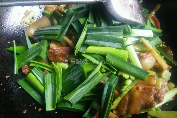 蒜苗苦瓜炒肥肉的做法图解13