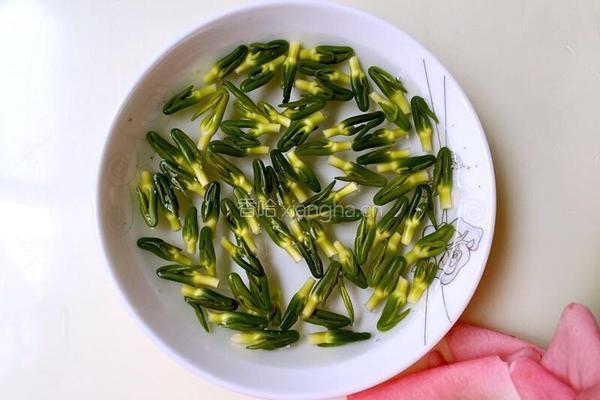 莲心茶的做法图解2