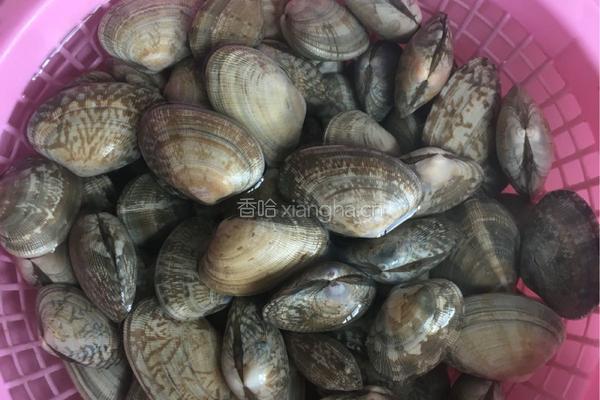 香辣花甲的做法图解1
