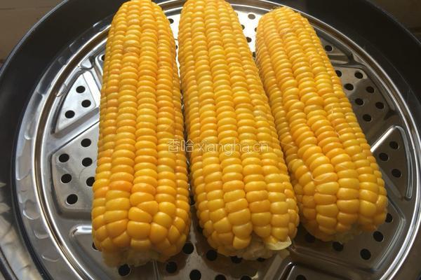 蒸玉米的做法图解3