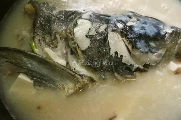 花鲢鱼头豆腐汤的做法图解12