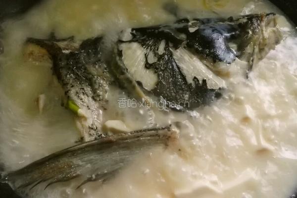花鲢鱼头豆腐汤的做法图解14