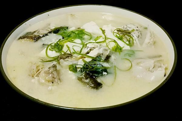 花鲢鱼头豆腐汤的做法图解15