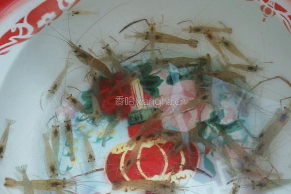 泡姜河虾的做法图解1