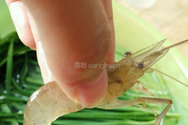 泡姜河虾的做法图解2