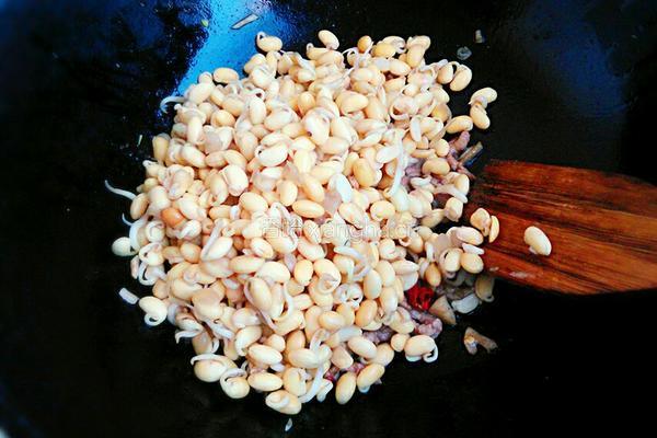 炒黄豆芽的做法图解7