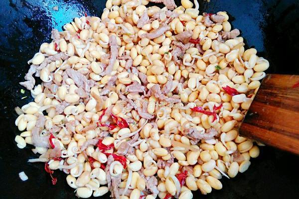 炒黄豆芽的做法图解8