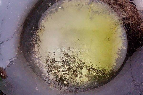 清炒土豆丝的做法图解12