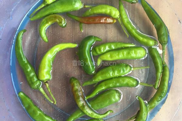 家乡小炒牛肉的做法图解4