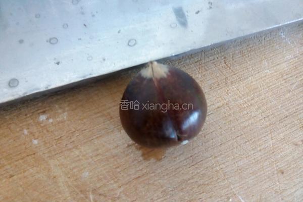 蜂蜜锥板栗（烤箱版）的做法图解3