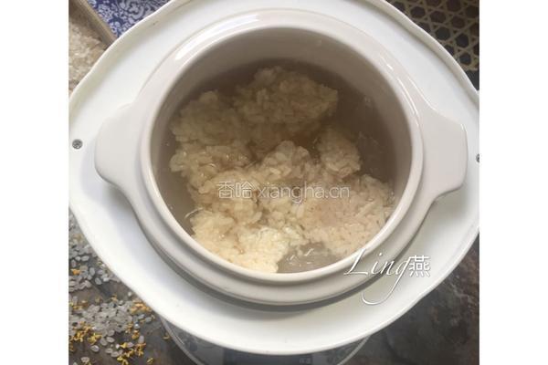 桂花酒酿炖燕窝的做法图解4