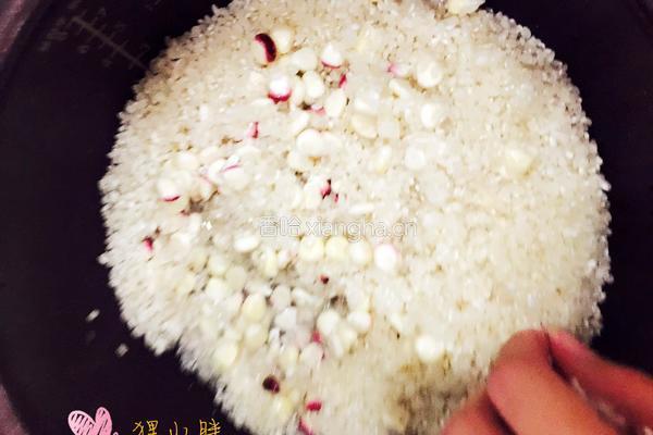 苞谷饭的做法图解3