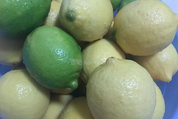 自制柠檬酵素的做法图解3