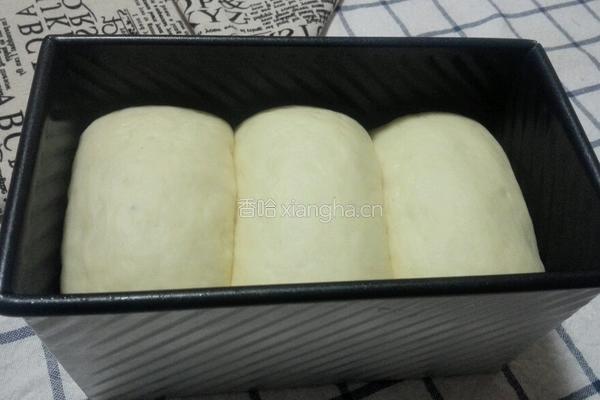 葡萄干土司的做法图解9