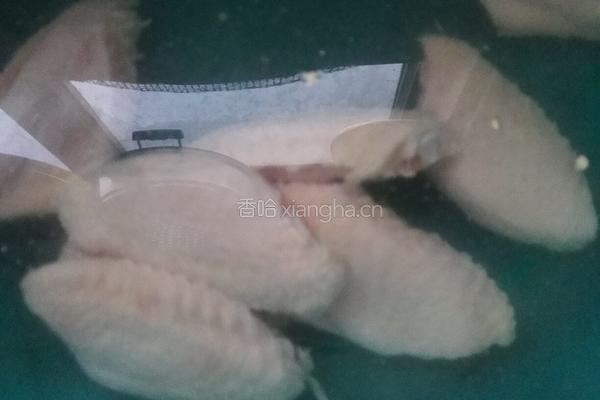 柠香鸡翅的做法图解1