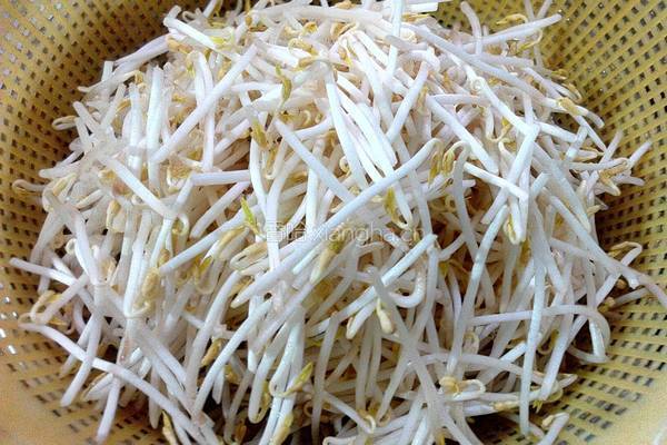 瘦肉炒绿豆芽的做法图解1