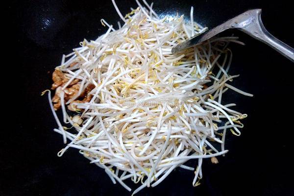 瘦肉炒绿豆芽的做法图解4