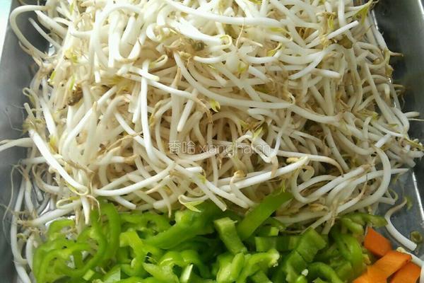 清炒绿豆芽的做法图解1