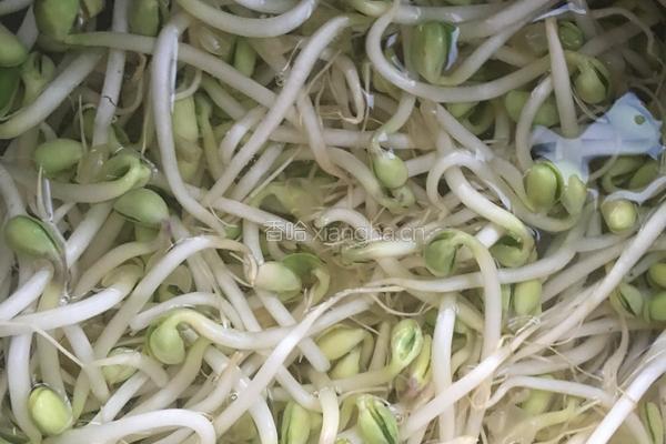 不正宗东北大拌菜的做法图解1