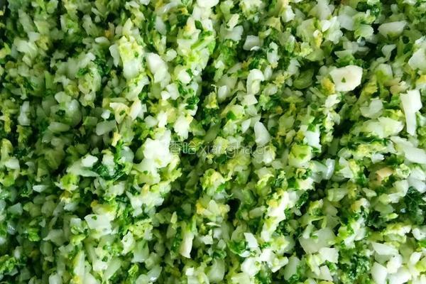 海螺白菜猪肉水饺的做法图解4