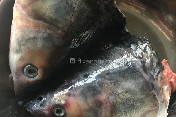 红烧鱼头的做法图解1