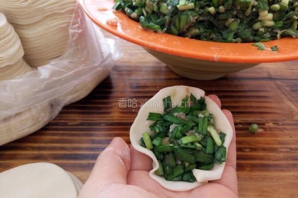 韭菜水饺的做法图解2