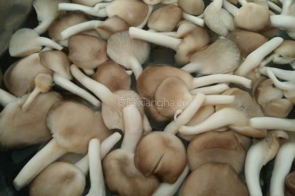 凤尾菇番鸭汤的做法图解2