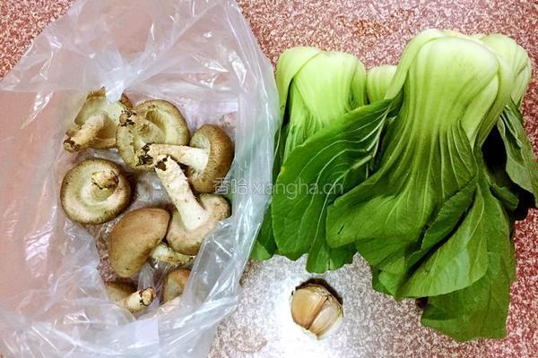 香菇油菜的做法图解1
