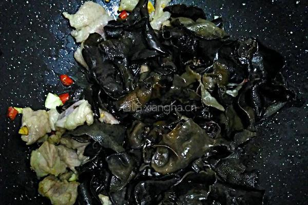 木耳炒肉片的做法图解8