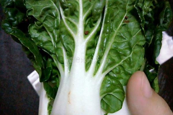 猪骨奶白菜汤的做法图解1