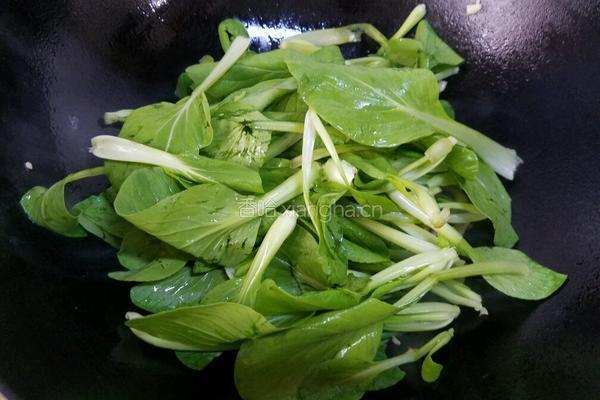 小青菜炒香菇的做法图解9
