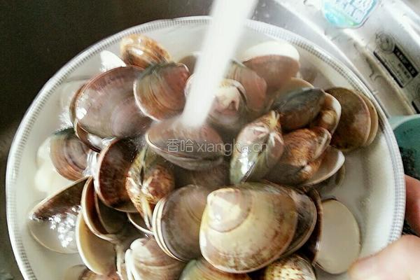 红油花蛤的做法图解6