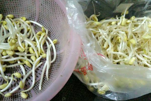 干煸黄豆芽的做法图解1