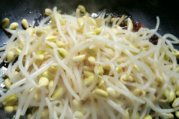 干煸黄豆芽的做法图解5