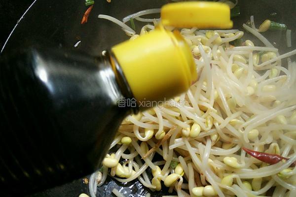 干煸黄豆芽的做法图解7