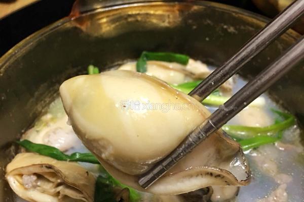 胡椒煲鲜蚝的做法图解6