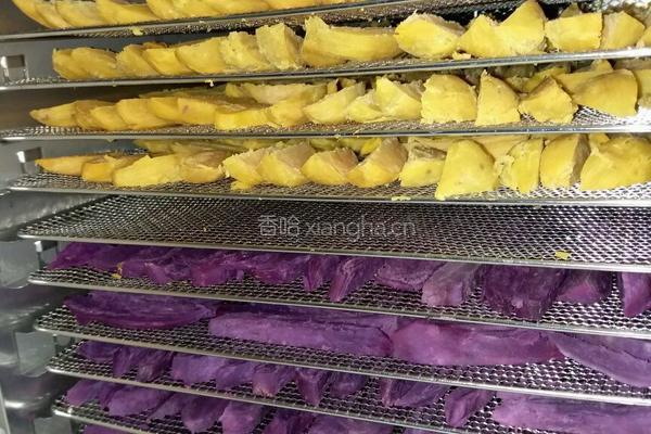 自制紫薯干红薯干的做法图解5