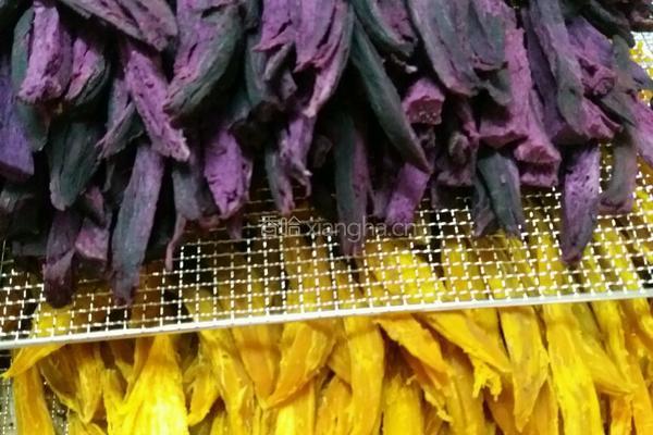 自制紫薯干红薯干的做法图解6